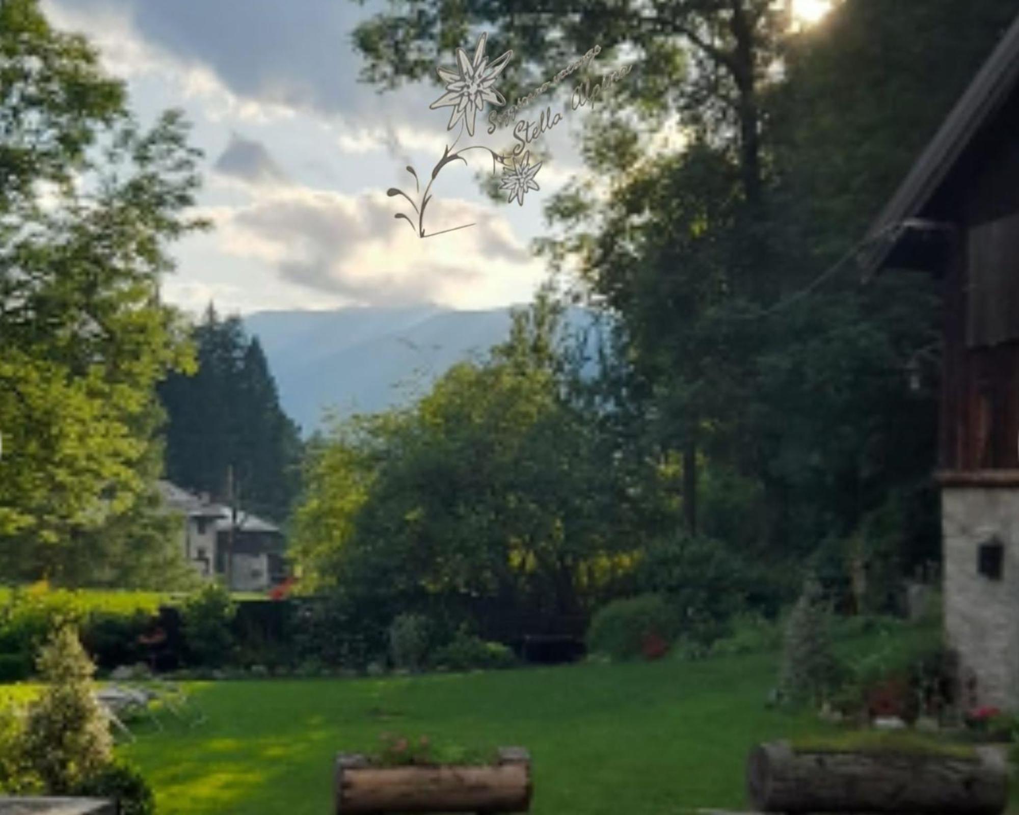 Soggiorno Vacanze Stella Alpina Temù Zimmer foto